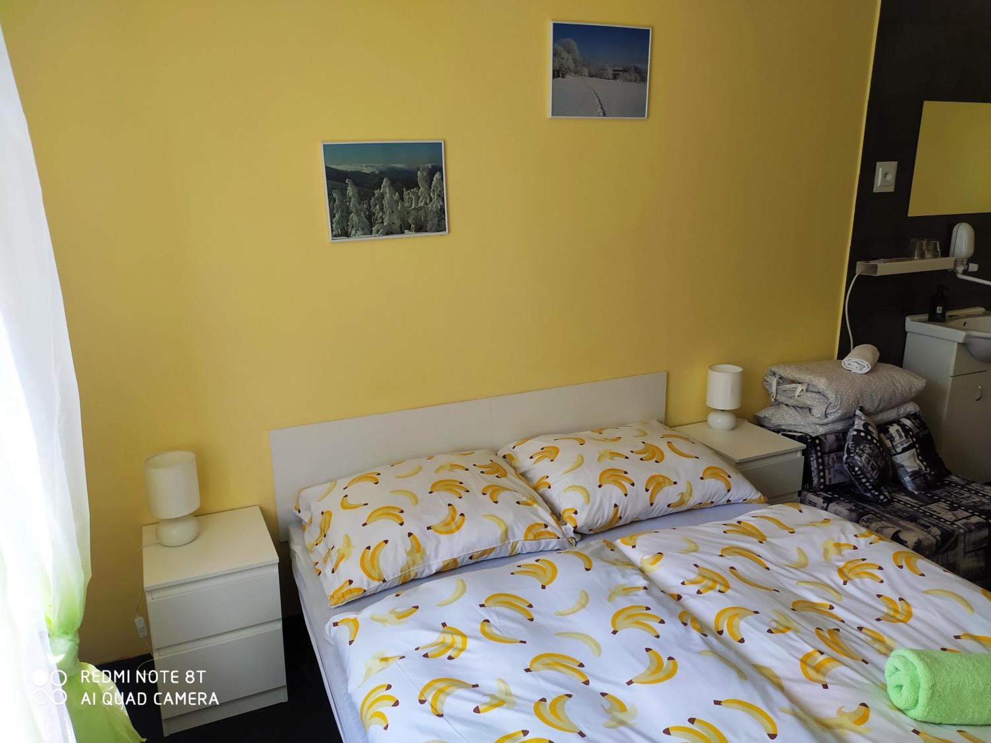 Wellness Penzion Triola Kořenov Zewnętrze zdjęcie